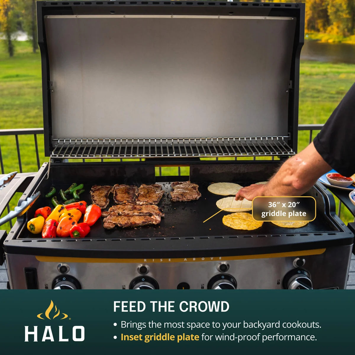 HALO Elite 4B Outdoor Griddle