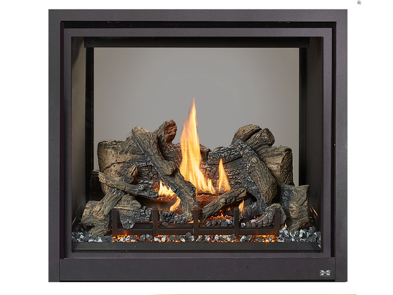 FPX ProBuilder 36 Clean Face See-Thru Gas Fireplace