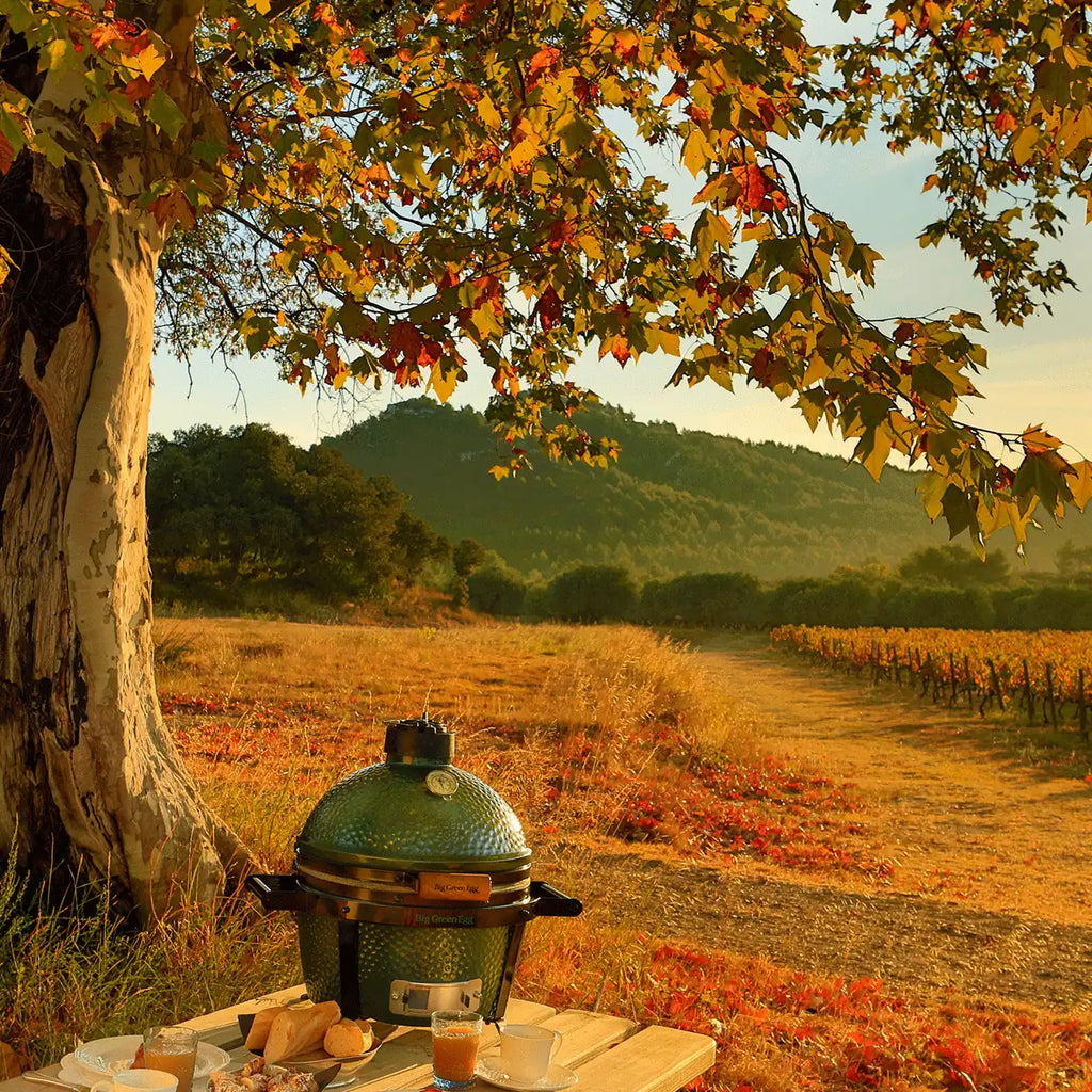 Big Green Egg MiniMax