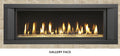 FPX 4415 High Output Deluxe Linear Gas Fireplace
