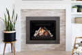 Valor G4 Gas Fireplace Insert