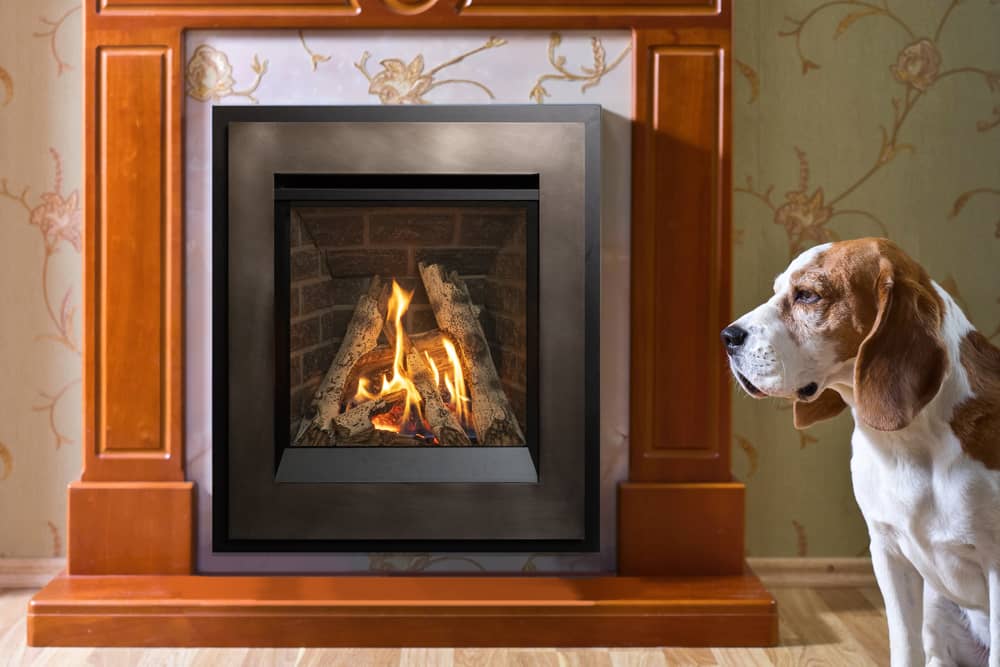 Valor P2 Gas Fireplace