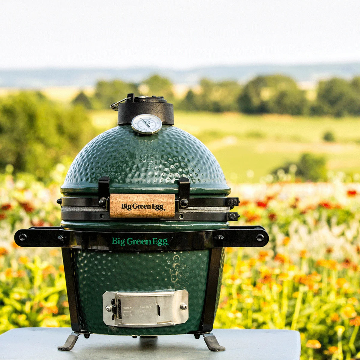 Big Green Egg Mini